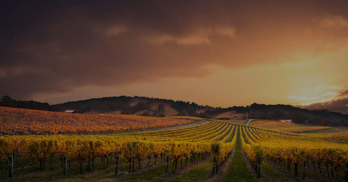Vineyards